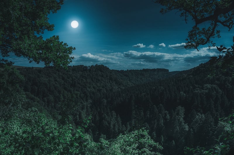 Moon and stars